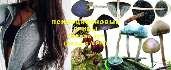 спиды Кодинск